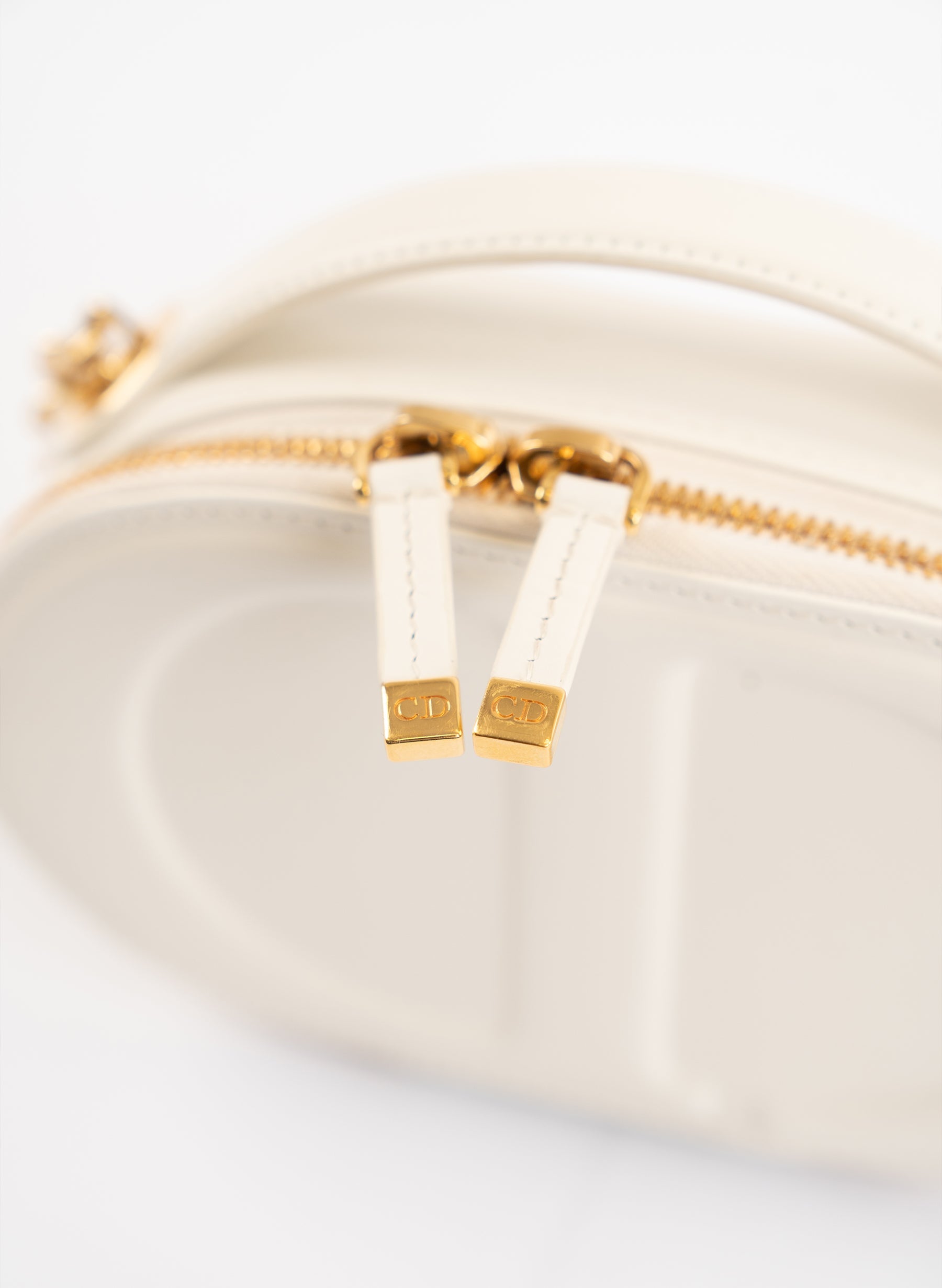 Christian Dior CD Signature Oval Camera Bag