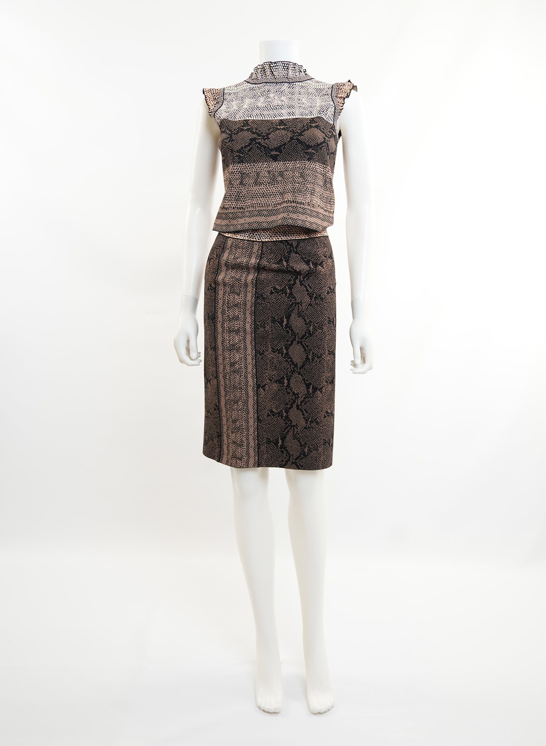 Alexander McQueen Python Print Top And Skirt Set