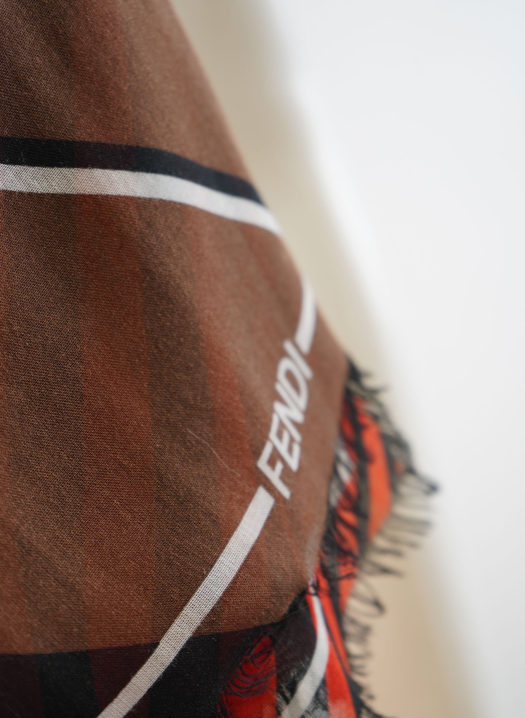 Écharpe imprimée Fendi