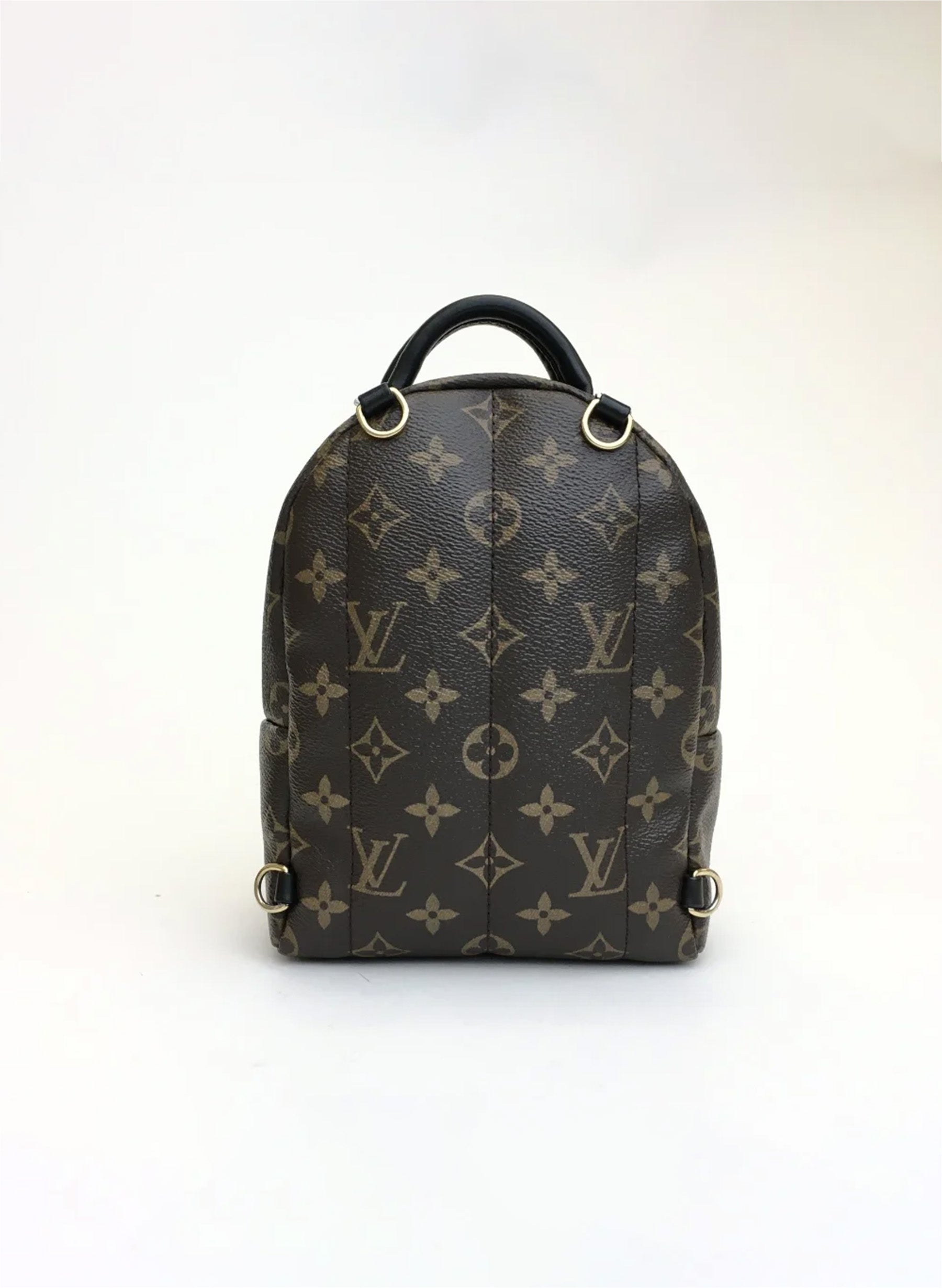 Louis Vuitton Palm Springs Mini Backpack