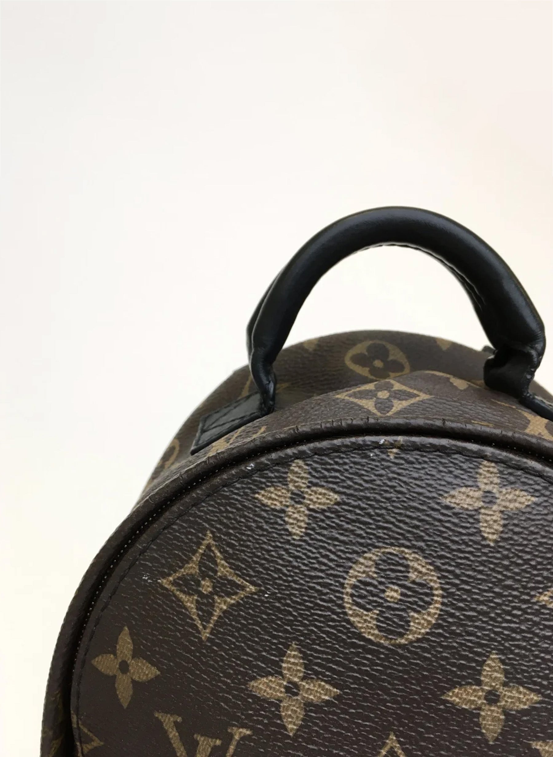 Louis Vuitton Palm Springs Mini Backpack