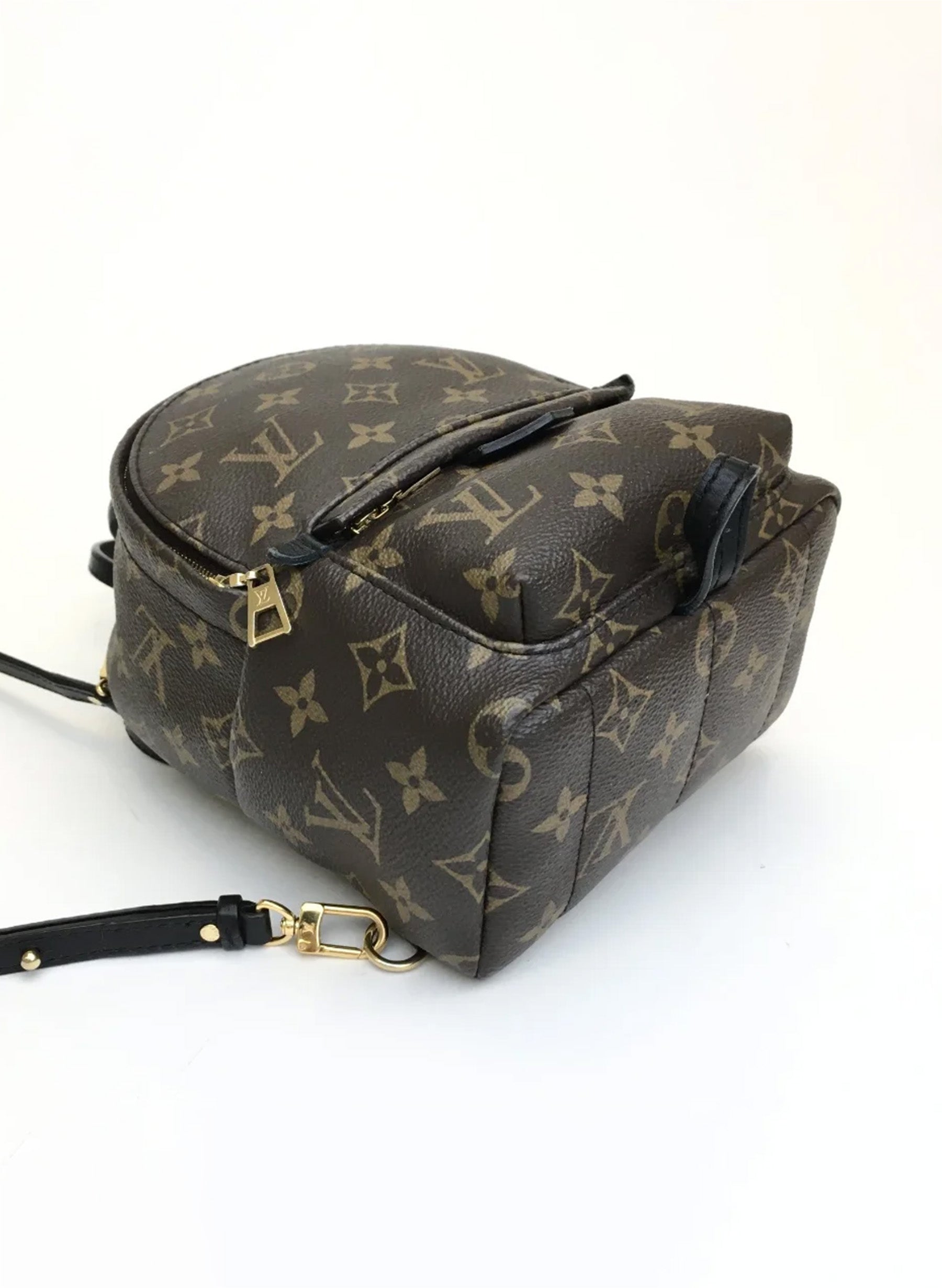 Louis Vuitton Palm Springs Mini Backpack