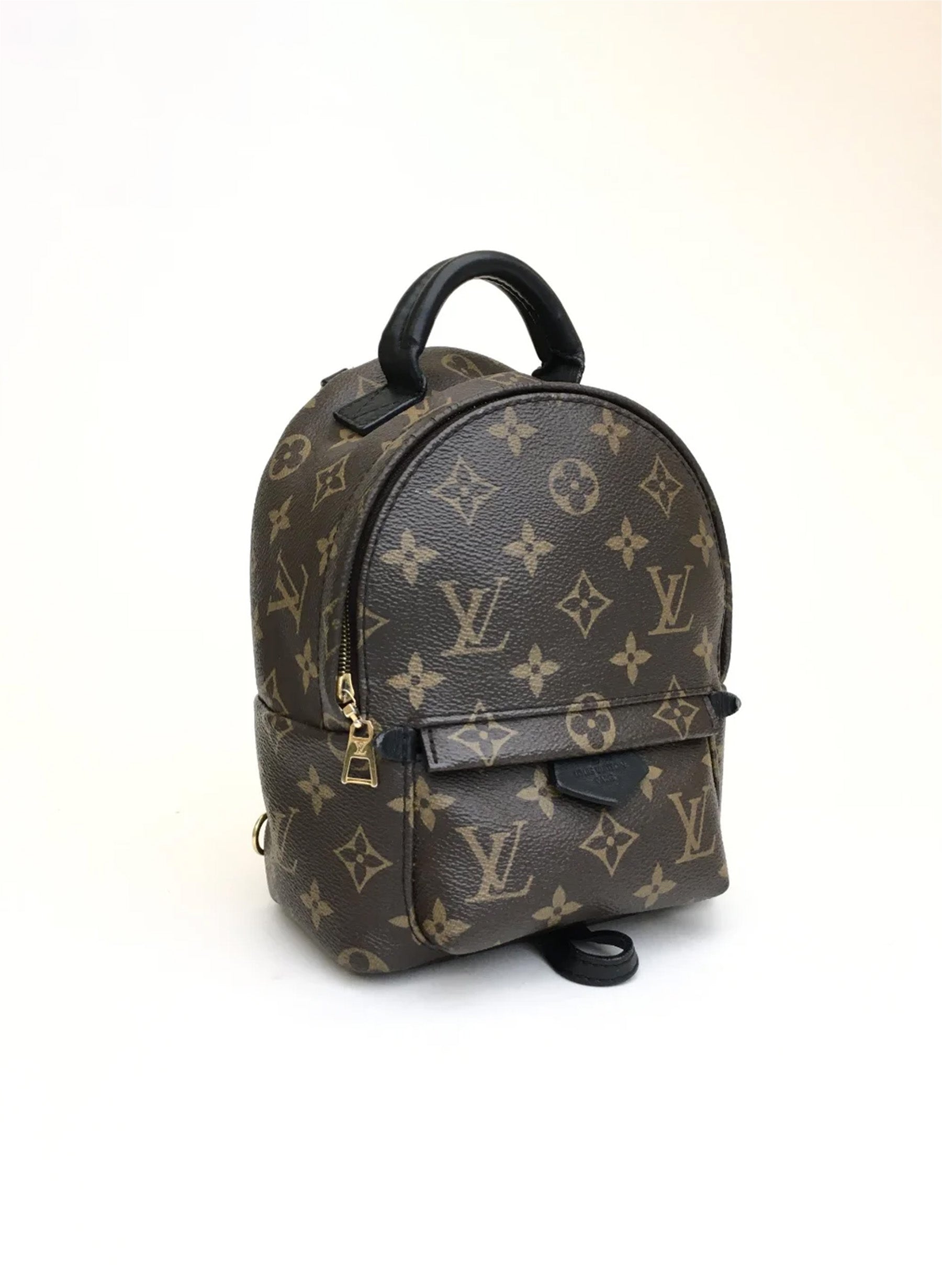 Louis Vuitton Palm Springs Mini Backpack