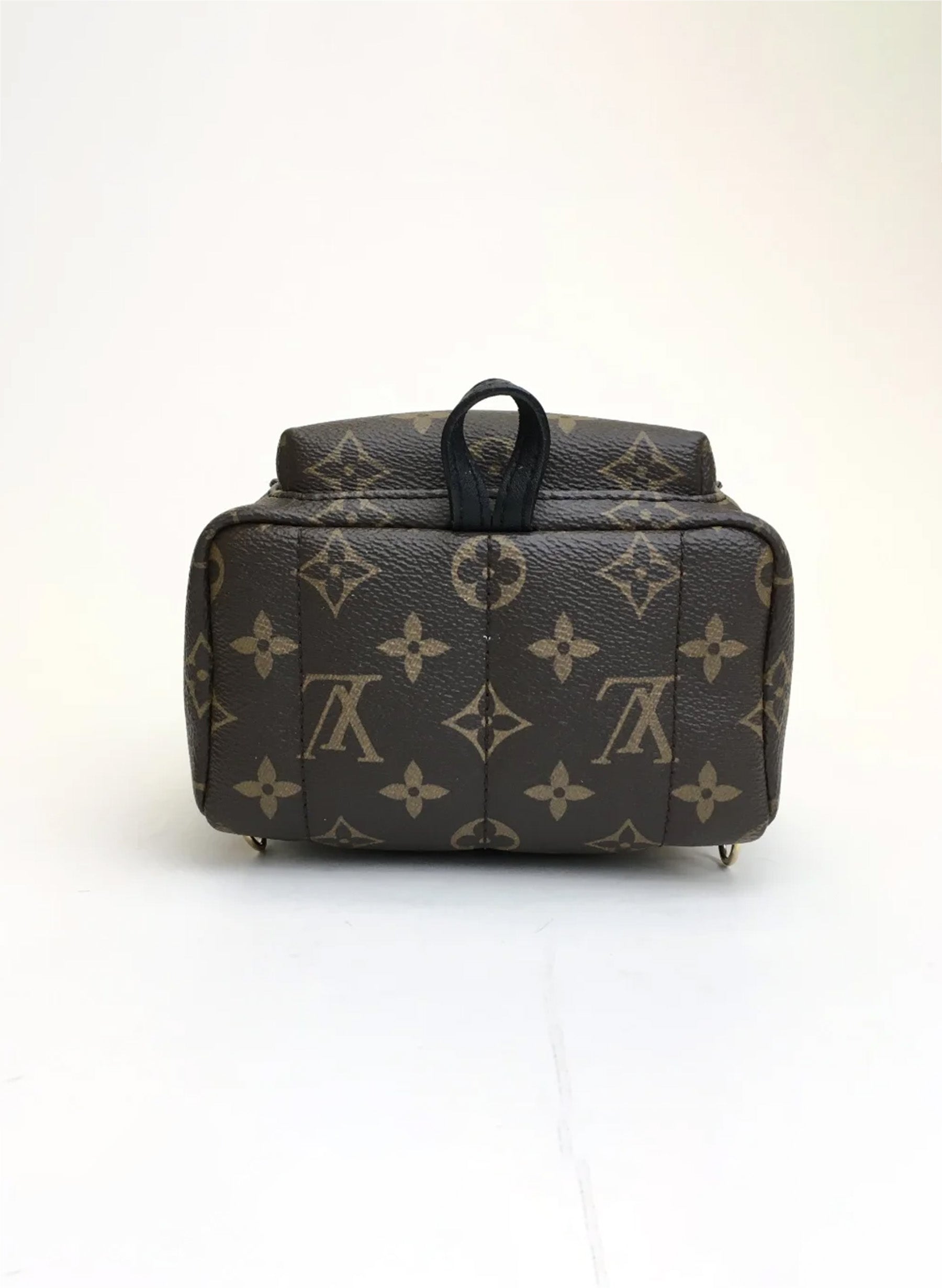 Louis Vuitton Palm Springs Mini Backpack