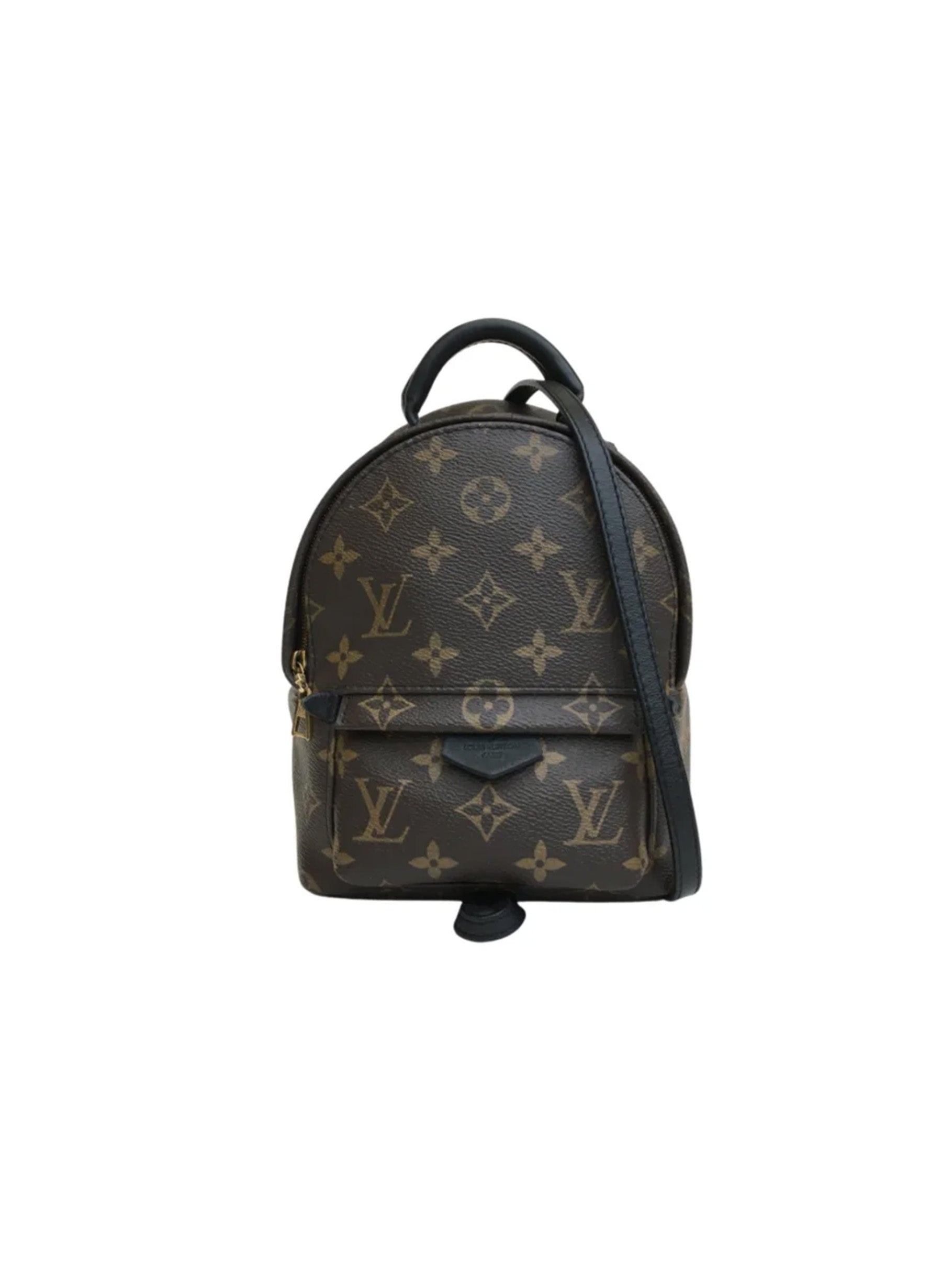 Louis Vuitton Palm Springs Mini Backpack