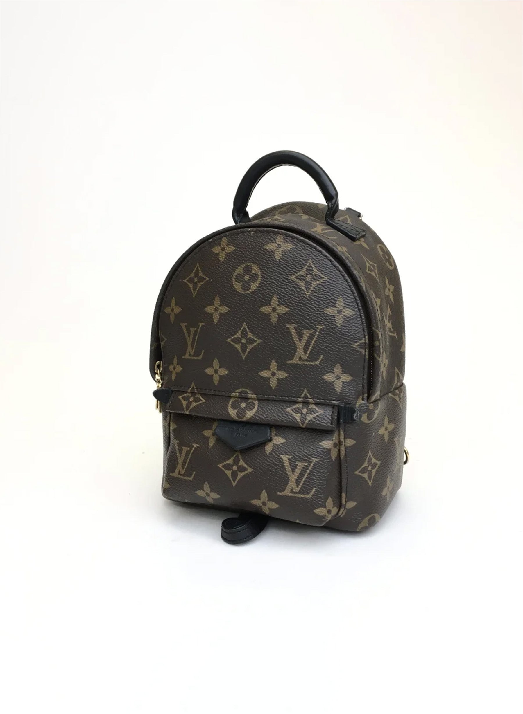 Louis Vuitton Palm Springs Mini Backpack