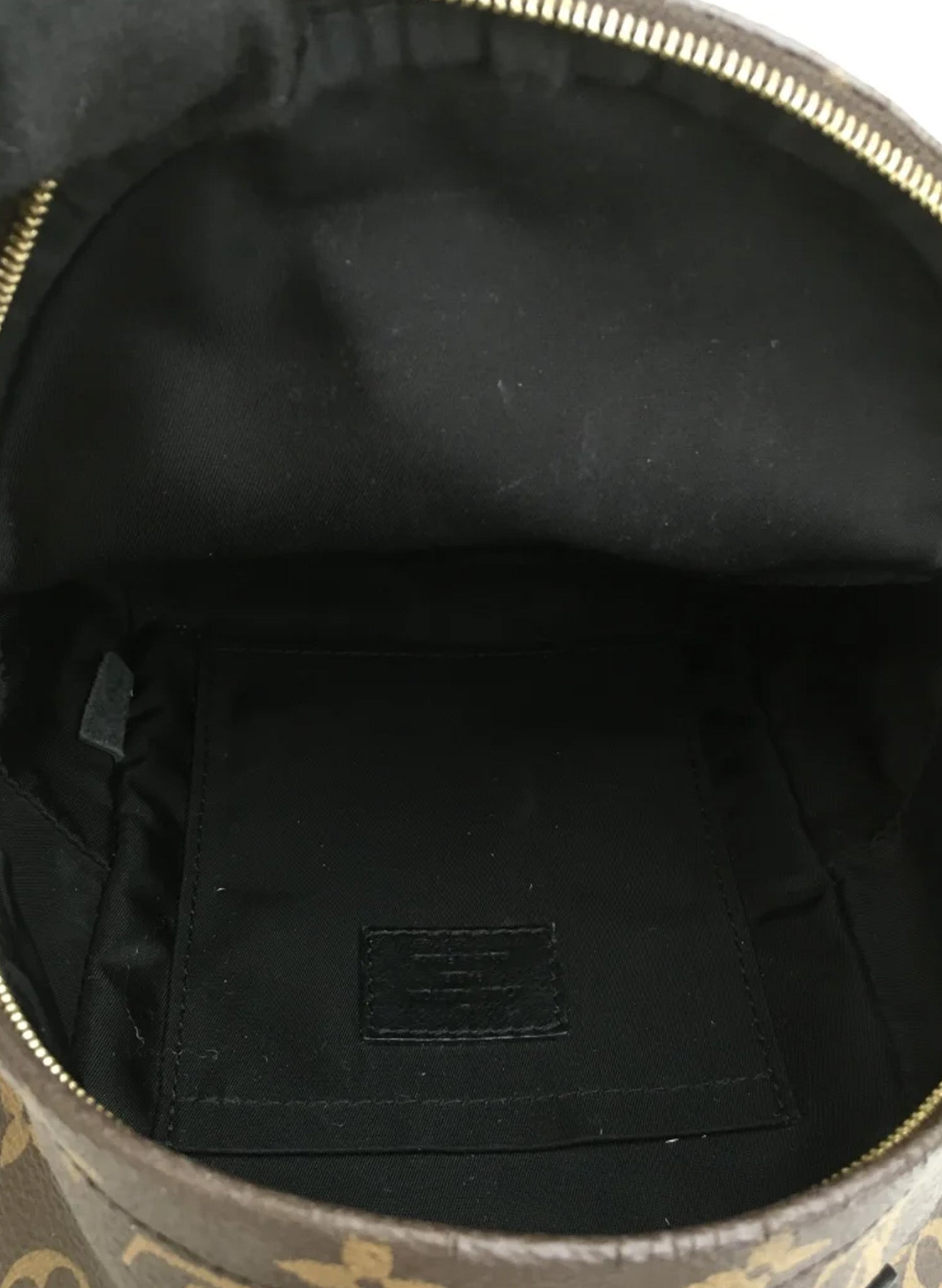 Louis Vuitton Palm Springs Mini Backpack