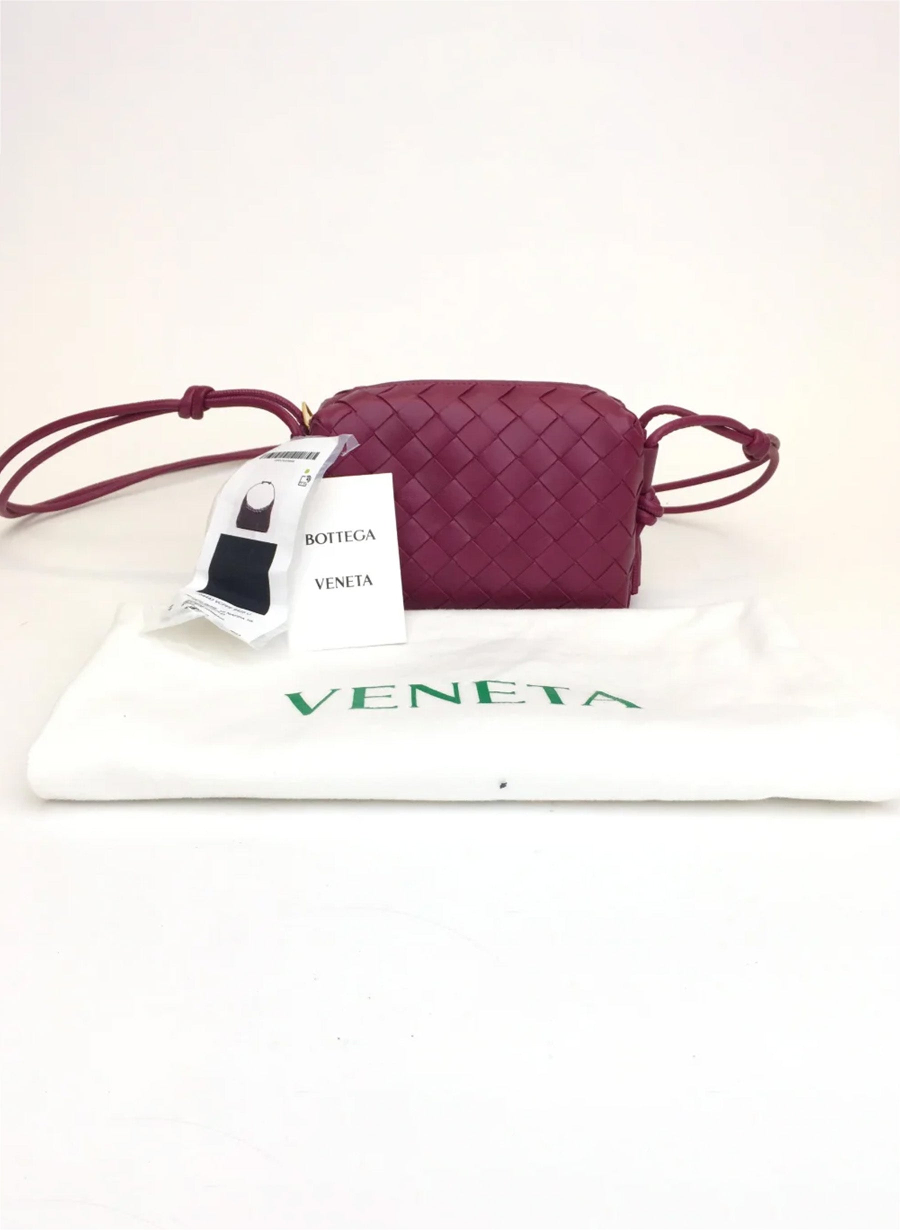 Bottega Veneta Mini Loop Bag