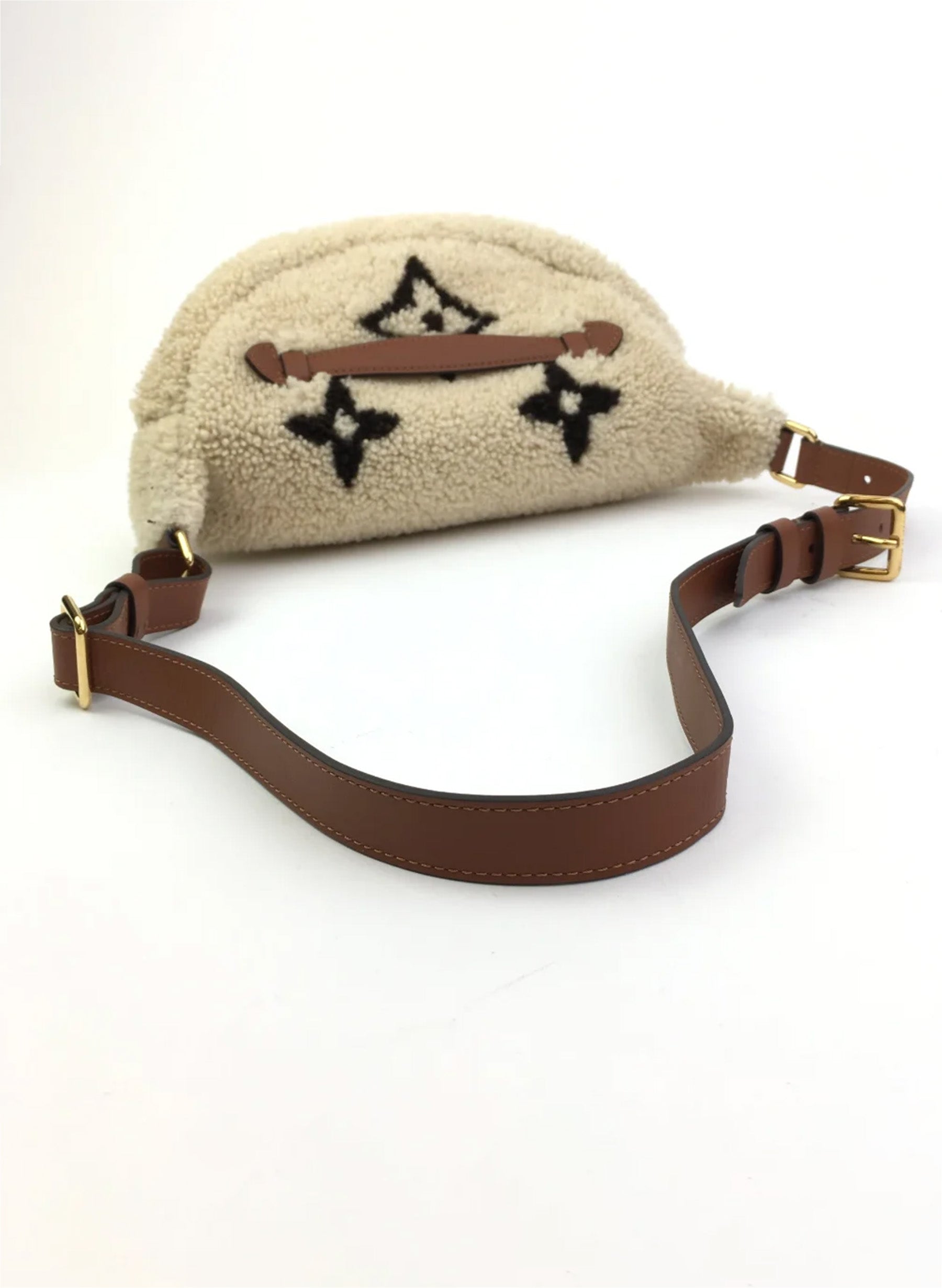 Louis Vuitton Teddy Bumbag