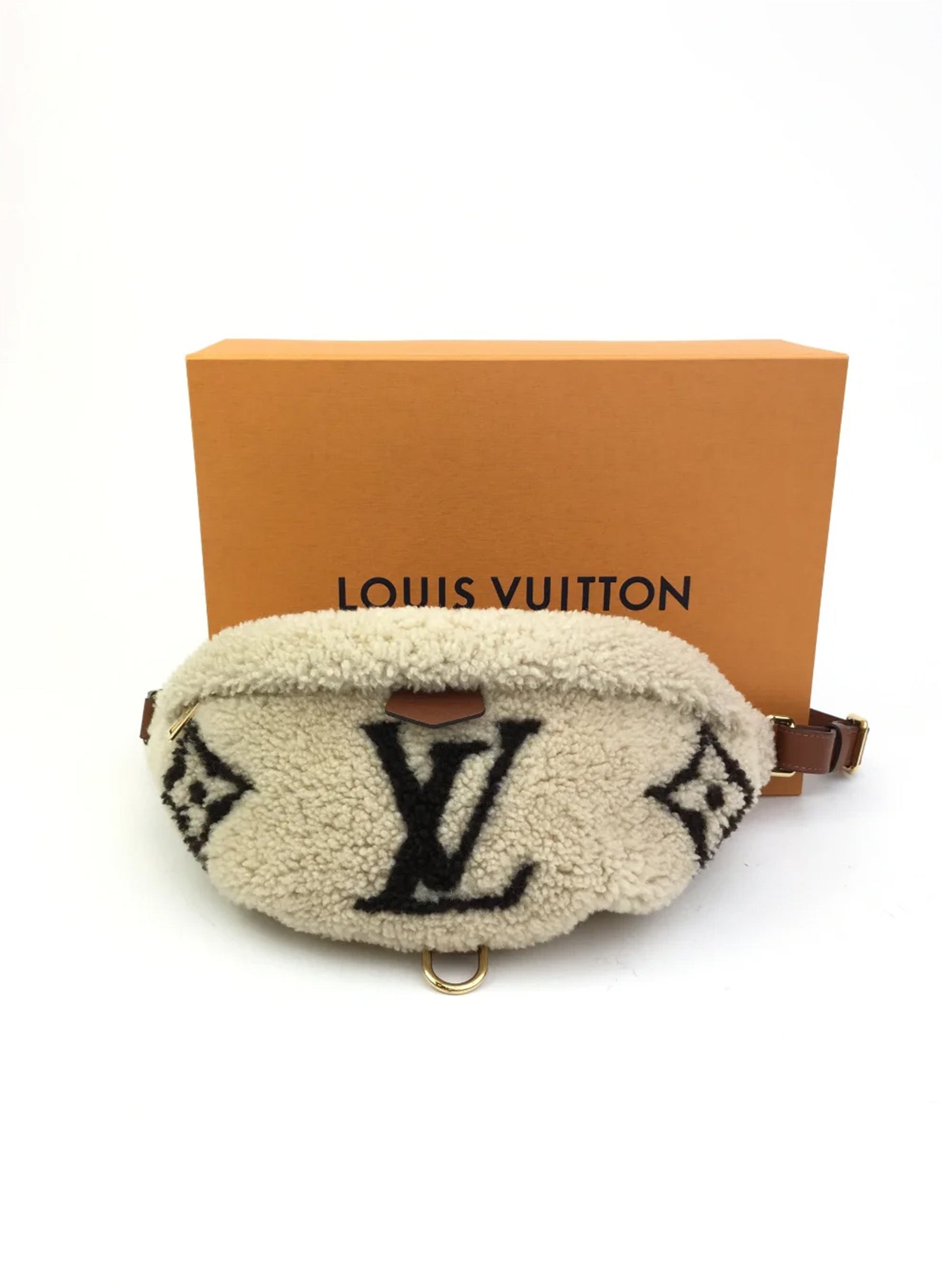 Louis Vuitton Teddy Bumbag