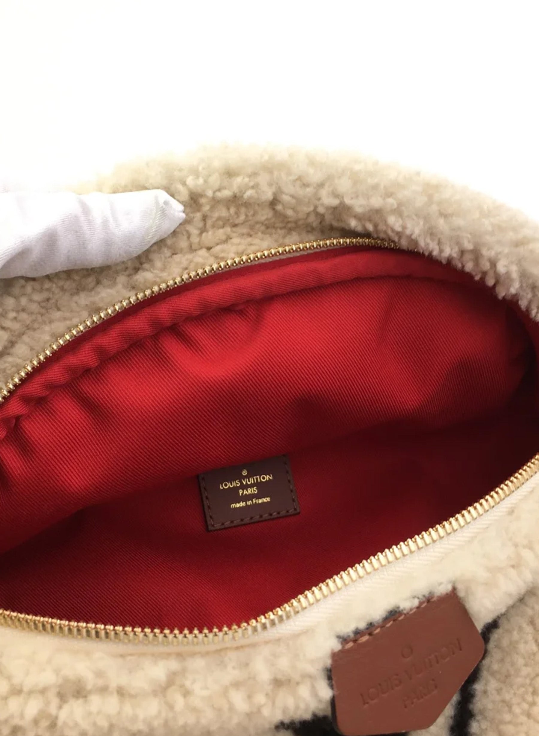 Louis Vuitton Teddy Bumbag