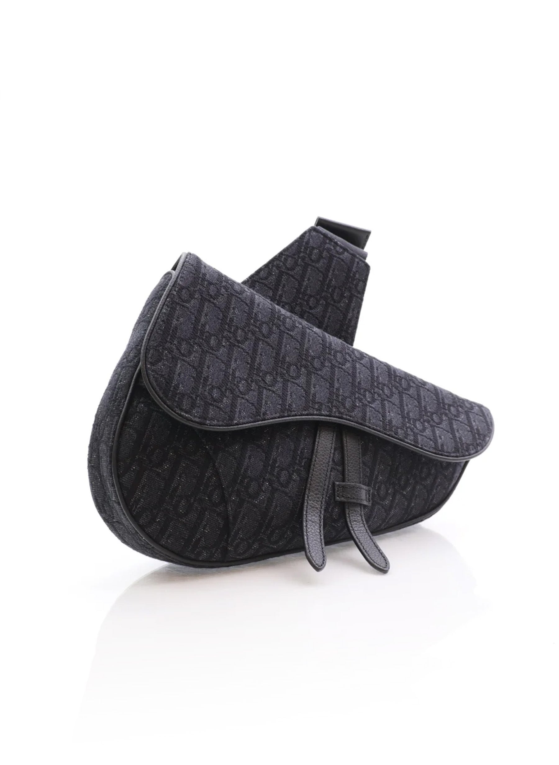 Dior Medium Saddle Bag