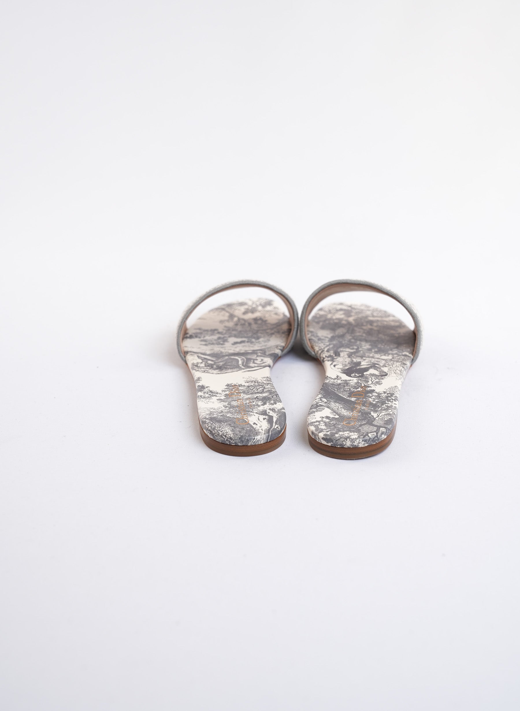 Christian Dior Dway Slides