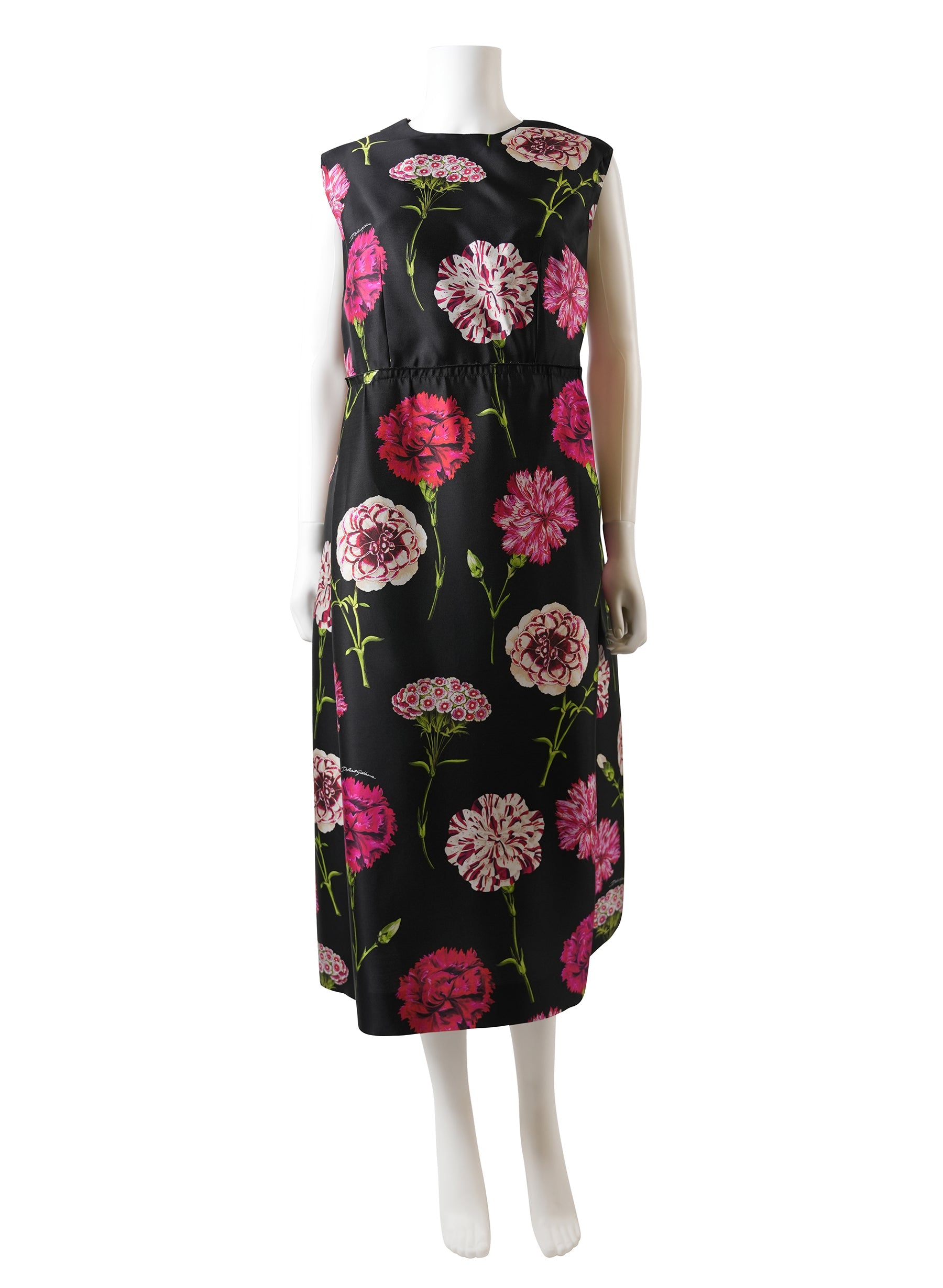 Dolce & Gabbana Floral Print Long Dress