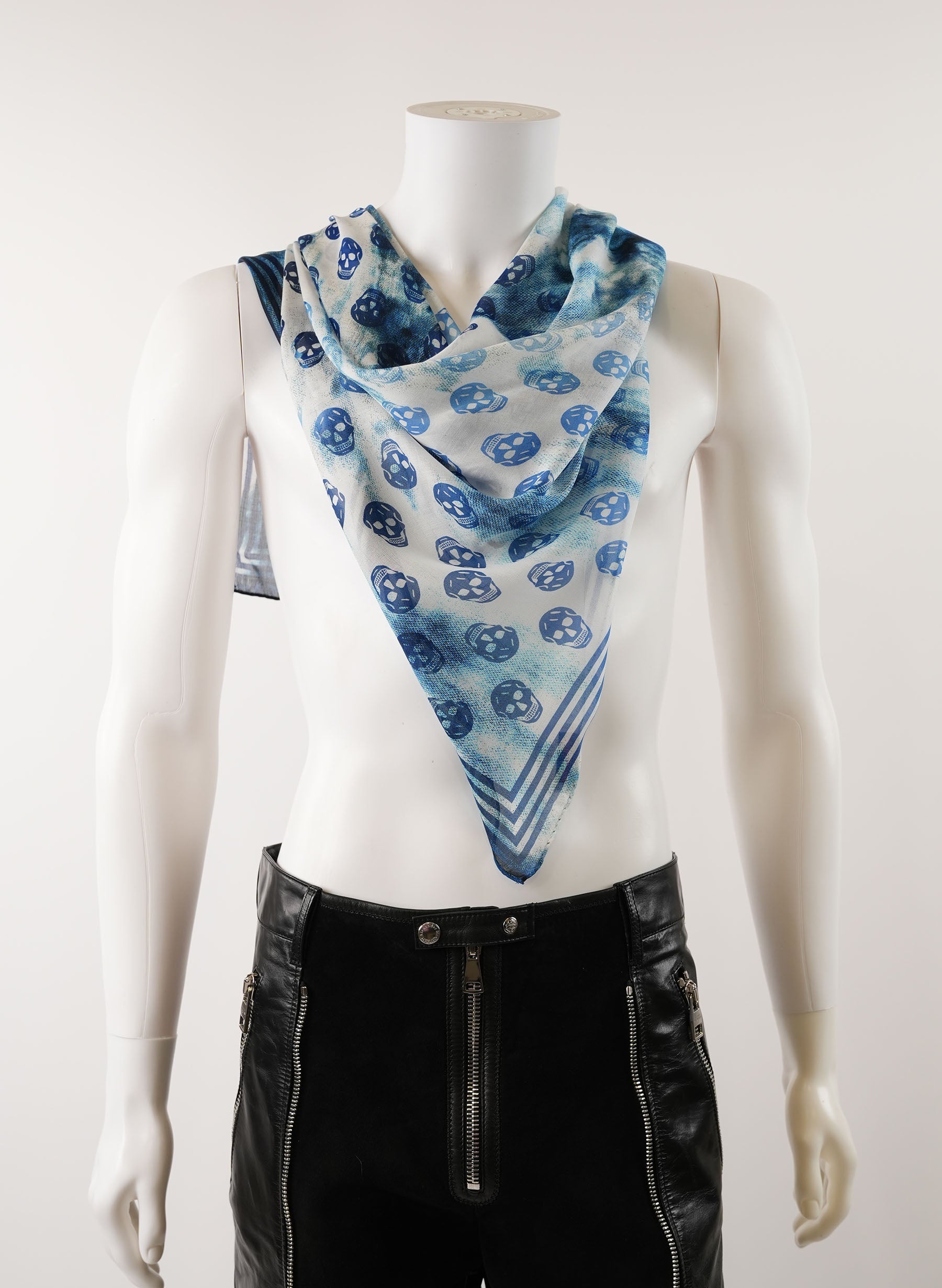 Alexander McQueen Skull Print Scarf