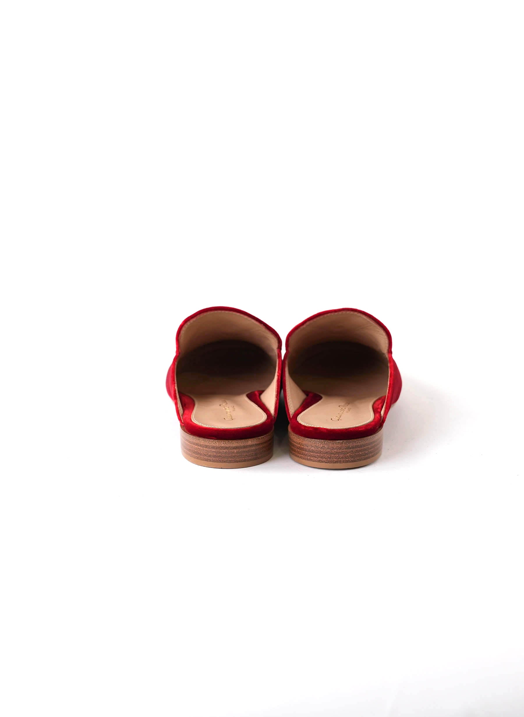 Gianvito Rossi Velvet Palau Slipper Mules Red 37