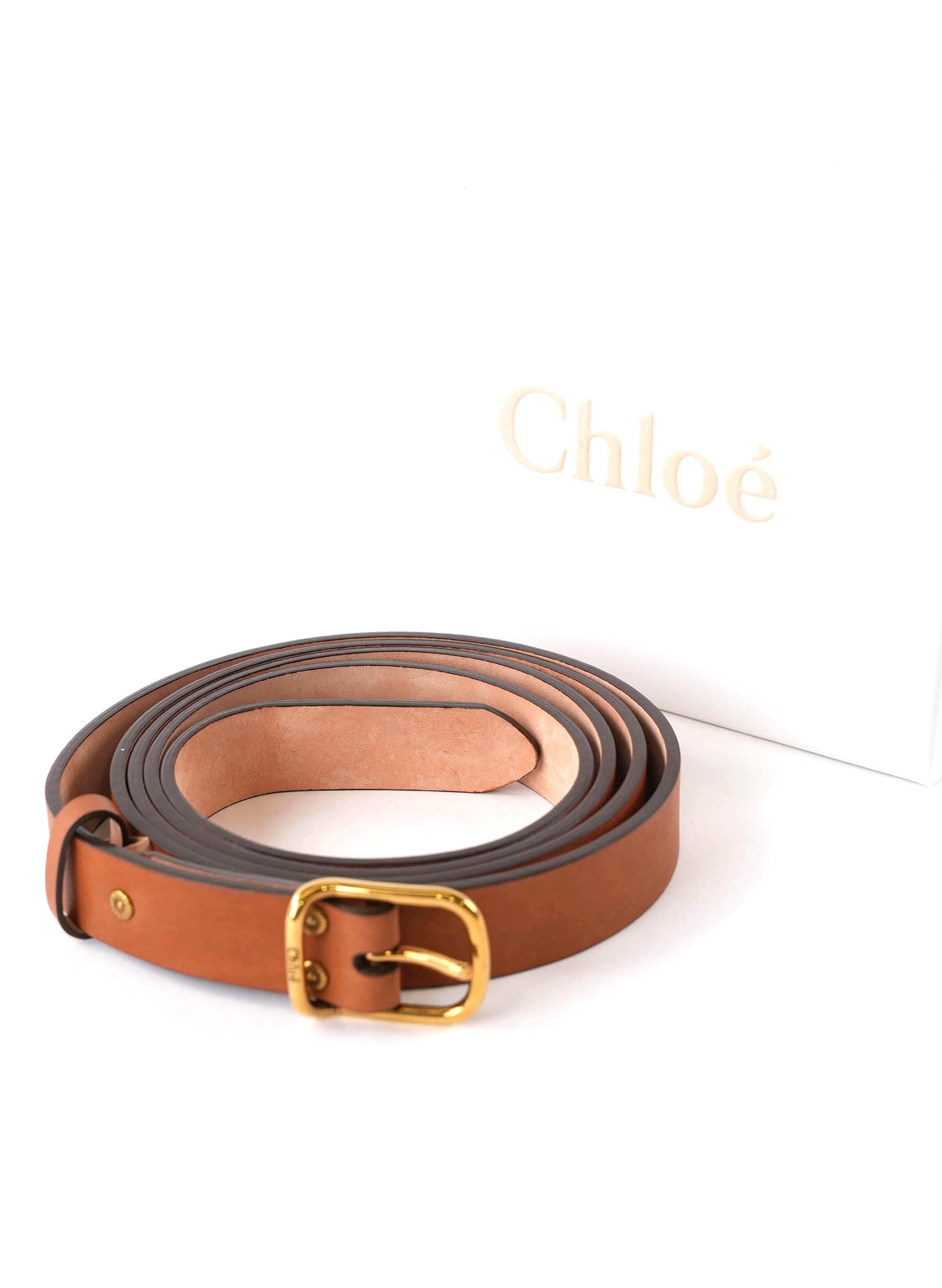 Chloe Classic Leather Belt in Canyon Brown