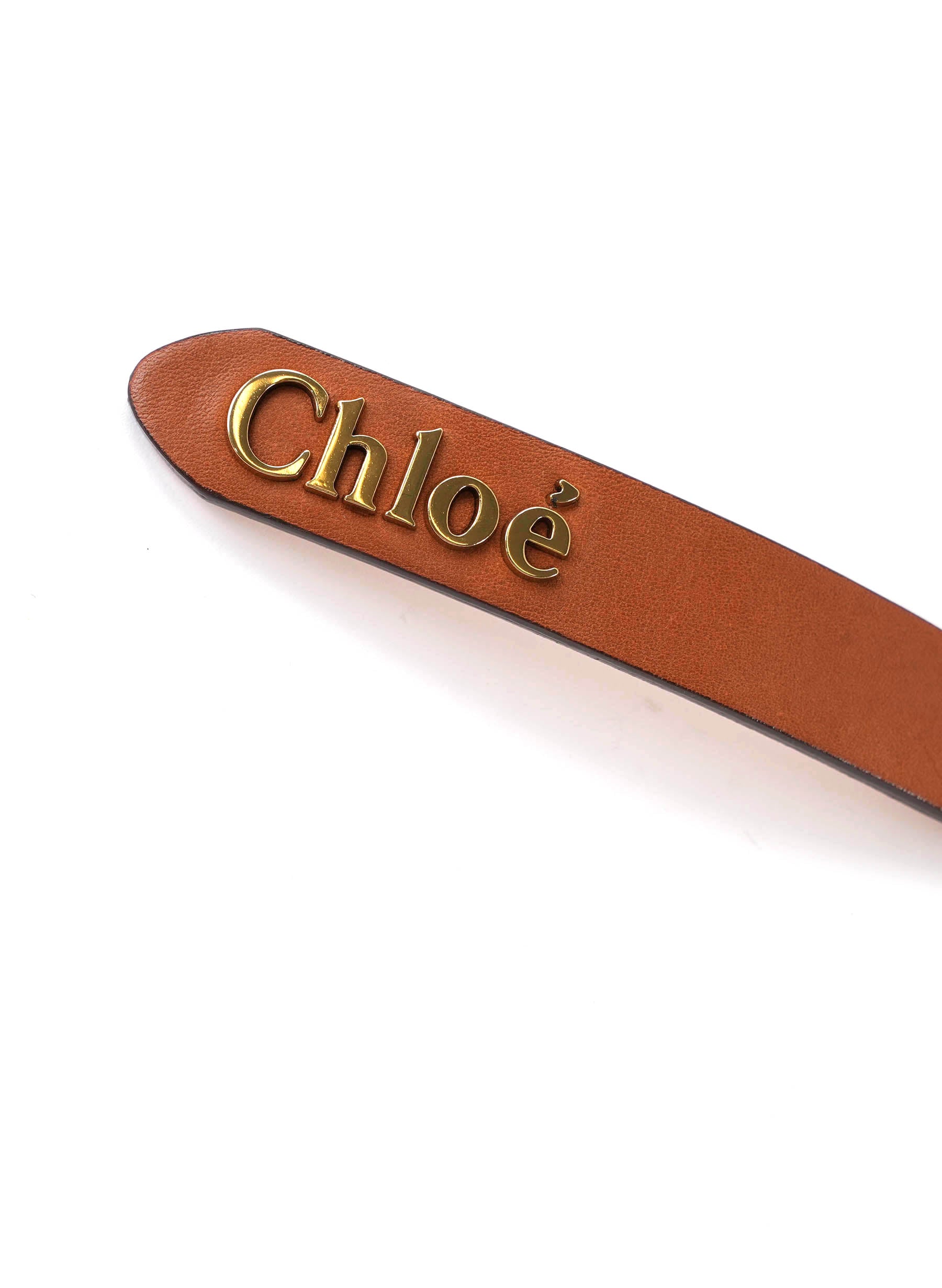 Chloe Classic Leather Belt in Canyon Brown