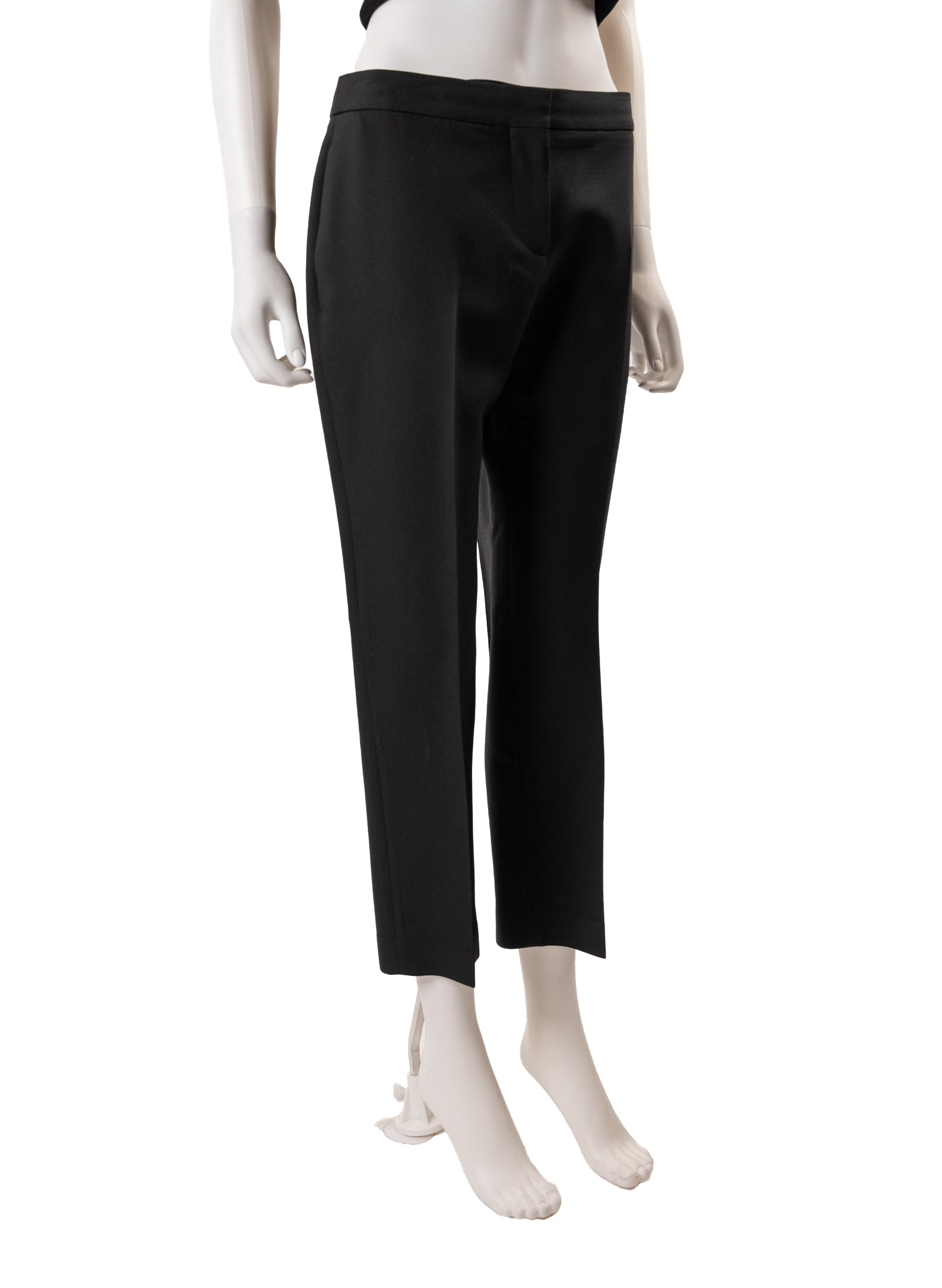 Alexander McQueen Wool Blend Trousers