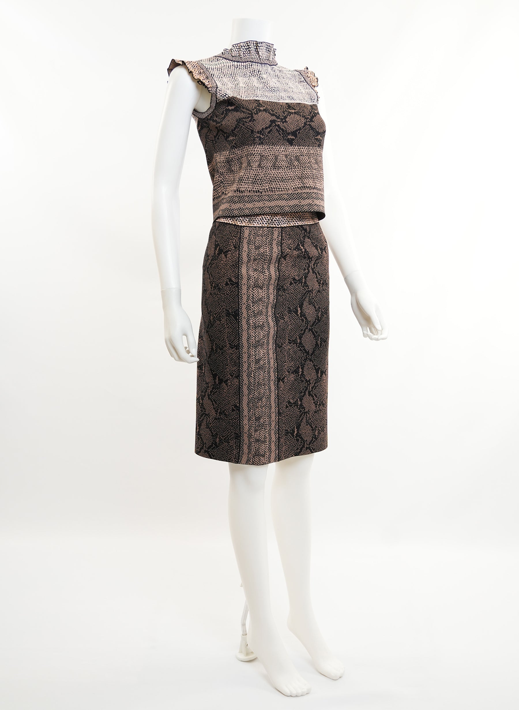 Alexander McQueen Python Print Top And Skirt Set