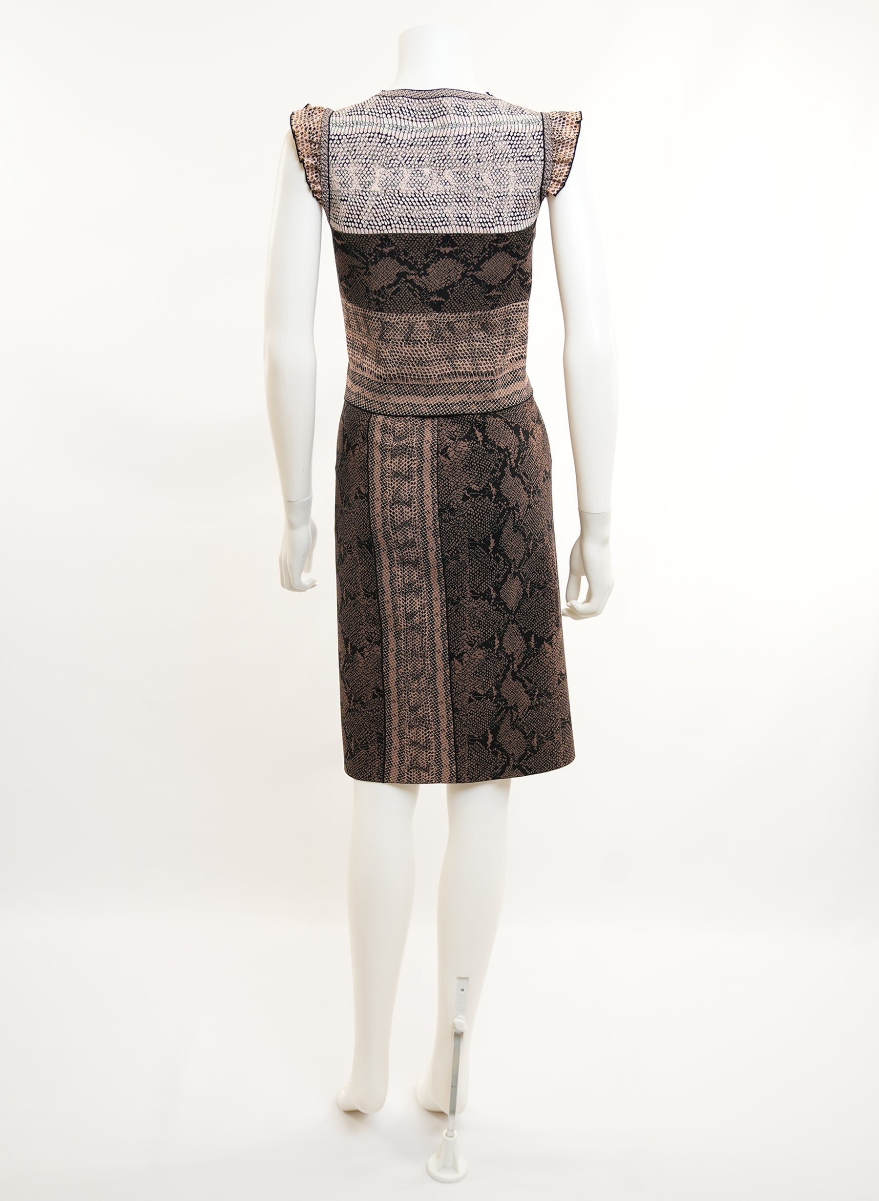 Alexander McQueen Python Print Top And Skirt Set