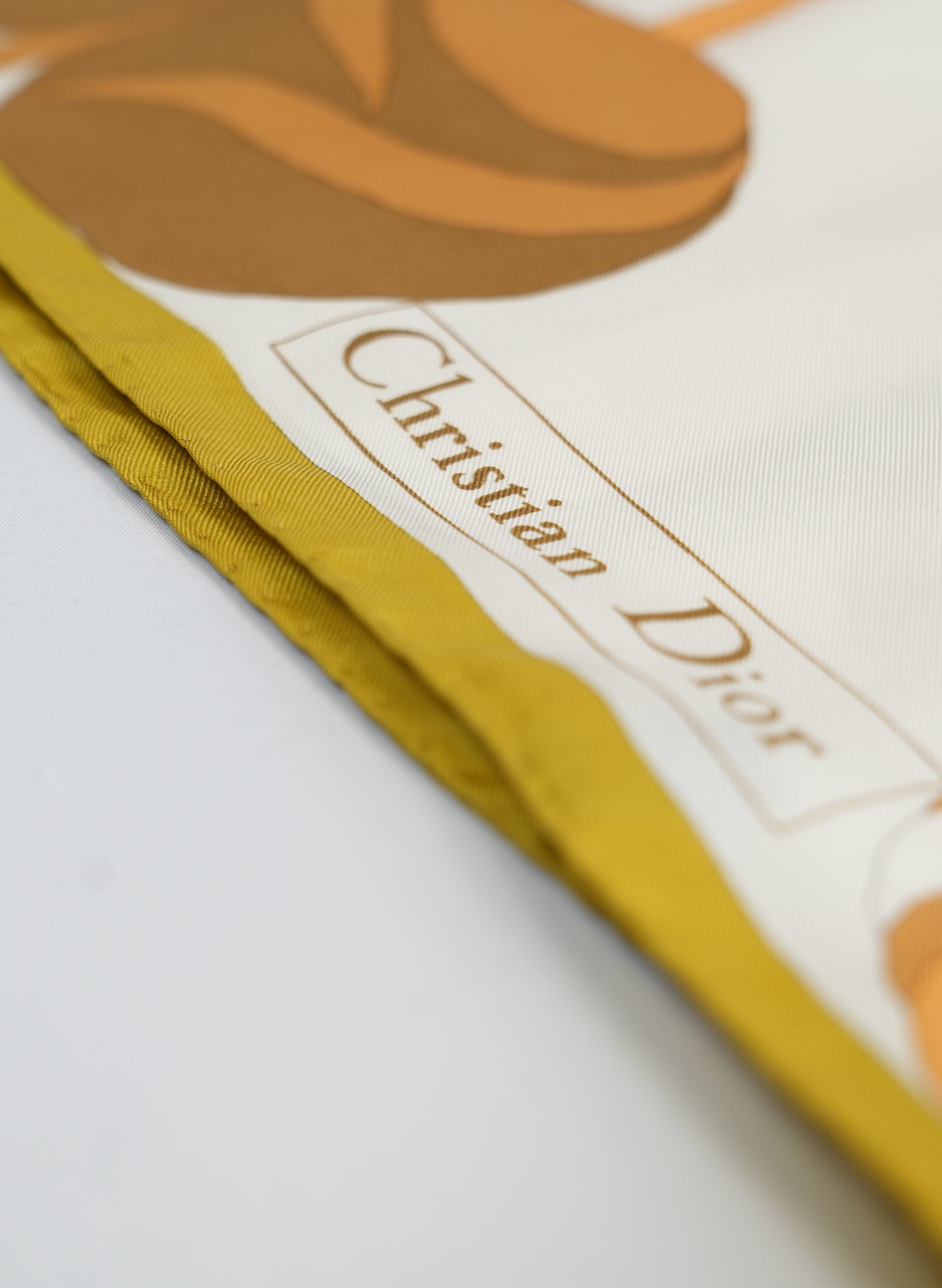 Christian Dior Printed Silk Scarf