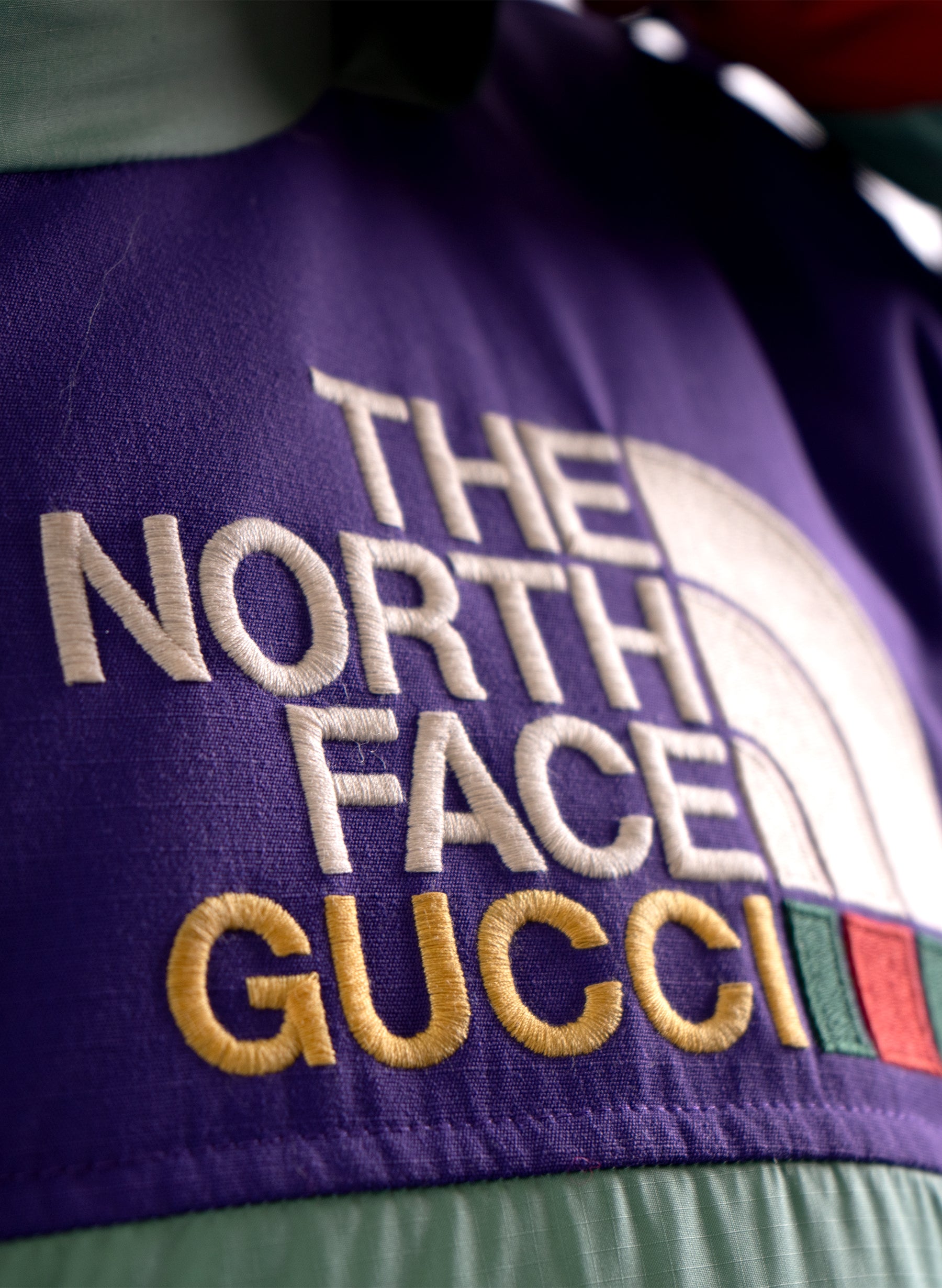 The North Face x Gucci Limited Edition Down Coat