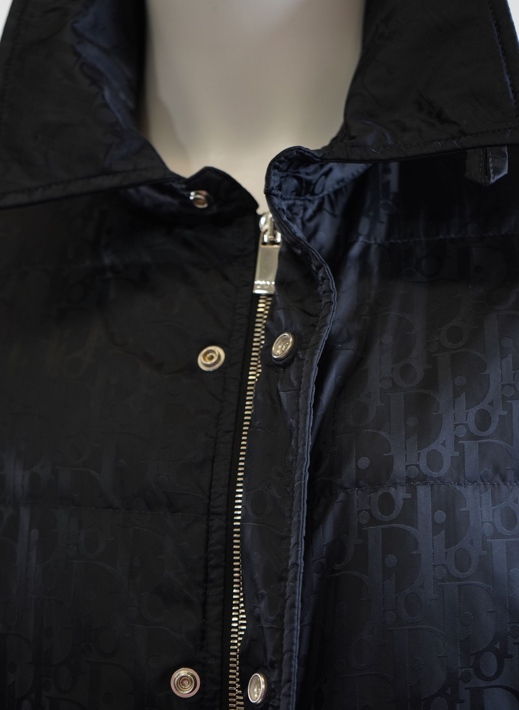 Christian Dior Oblique Down Jacket