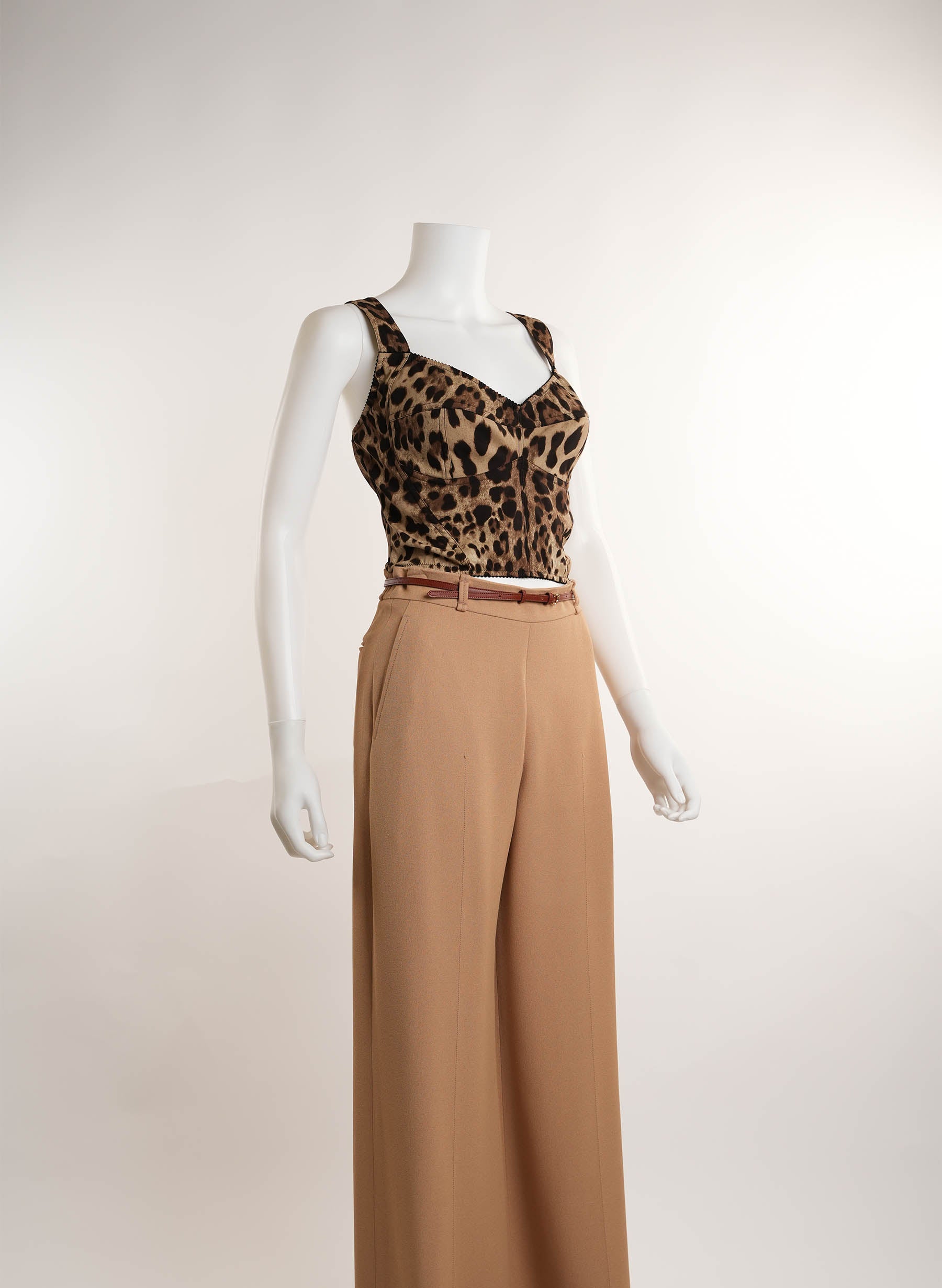 Dolce & Gabbana Leopard-Print Charmeuse Bustier Top